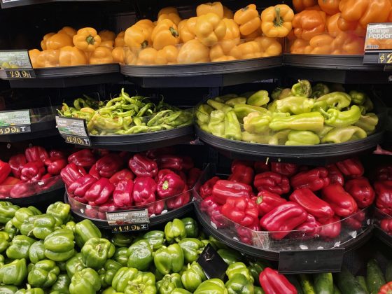 Motorola Razr Plus (2025)