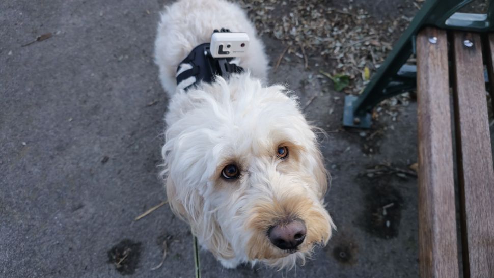 Enabot ROLA Pet Tracker-2