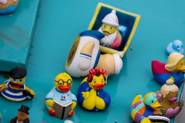 Panasonic Lumix S 70-300mm