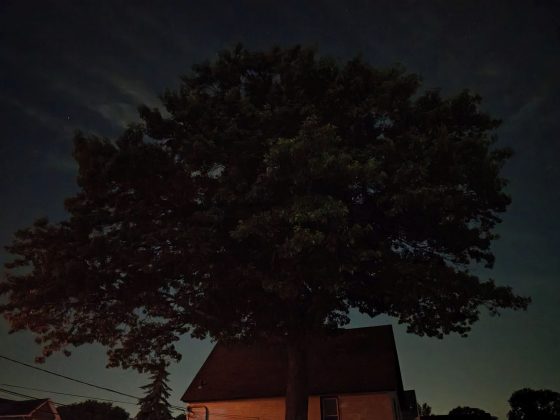 Motorola Razr Plus (2025)