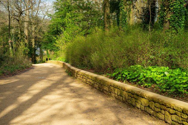 Sigma 50mm F1.2 DG DN Art