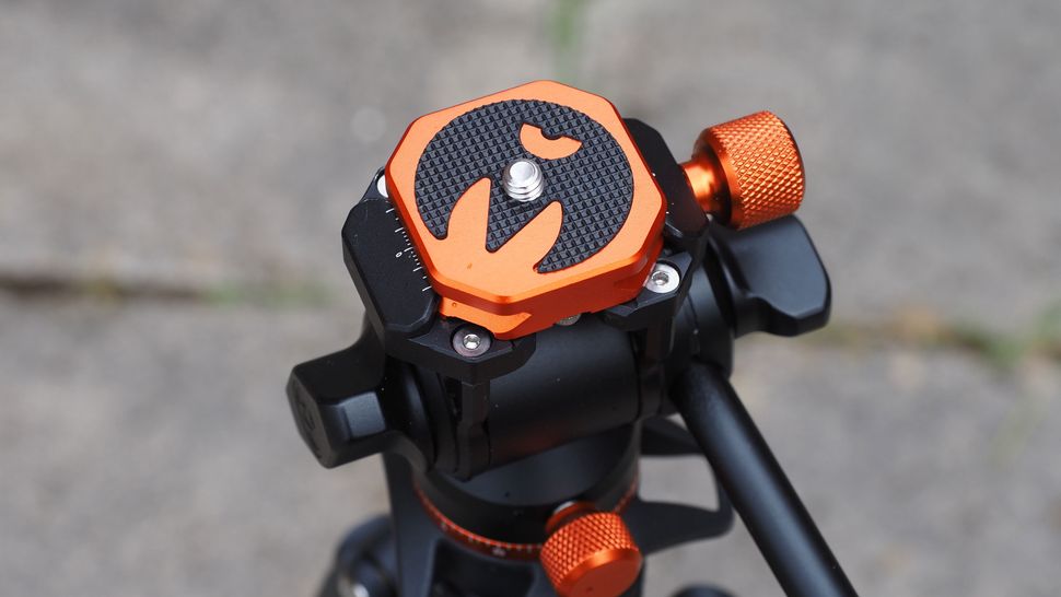 3 Legged Thing AirHed Trinity-2