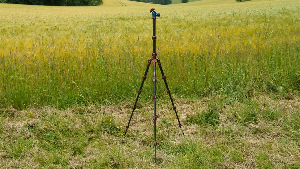 3 Legged Thing Leo 2.0-2