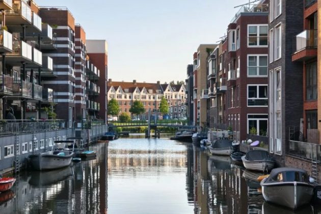 Обзор Motorola Edge 60 Pro: противоядие от однотипных телефонов фото