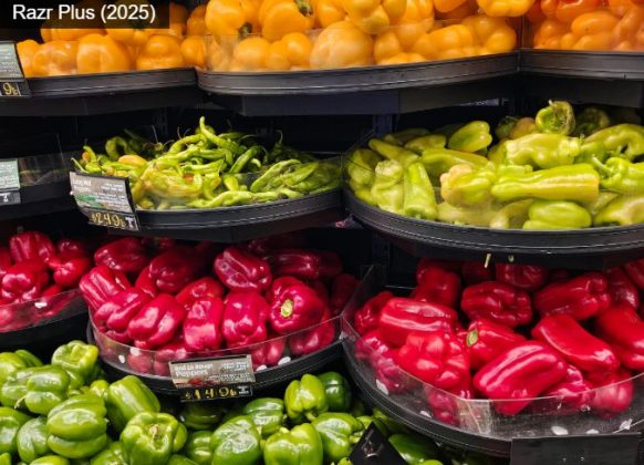 Motorola Razr Plus (2025)