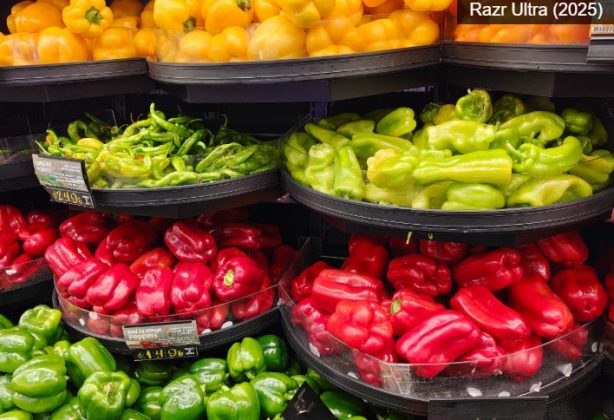 Motorola Razr Plus (2025)