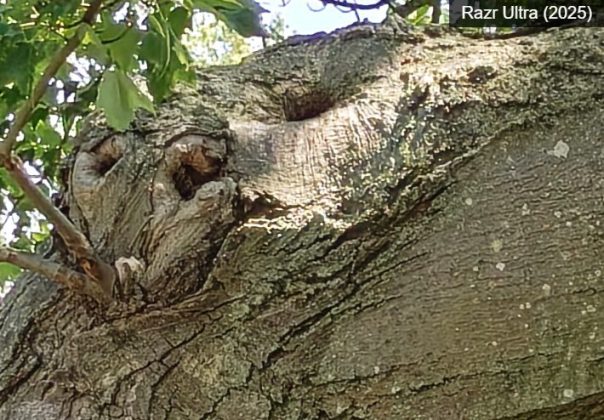 Motorola Razr Plus (2025)