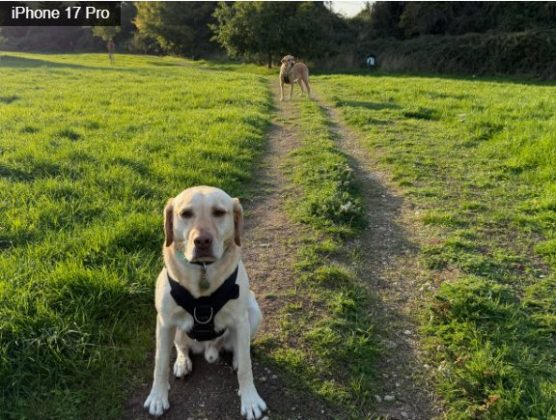 iPhone 17 Pro против Google Pixel 10 Pro