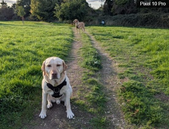 iPhone 17 Pro против Google Pixel 10 Pro