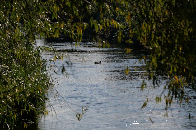 Panasonic Lumix S 100-500mm