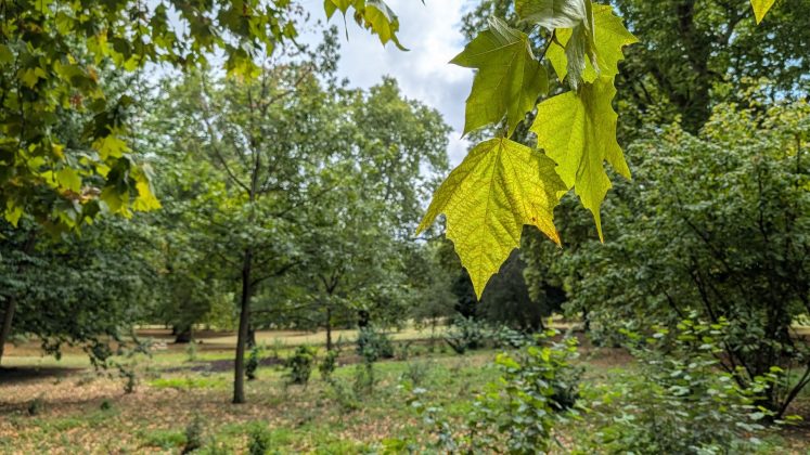 Google Pixel 10 Pro XL