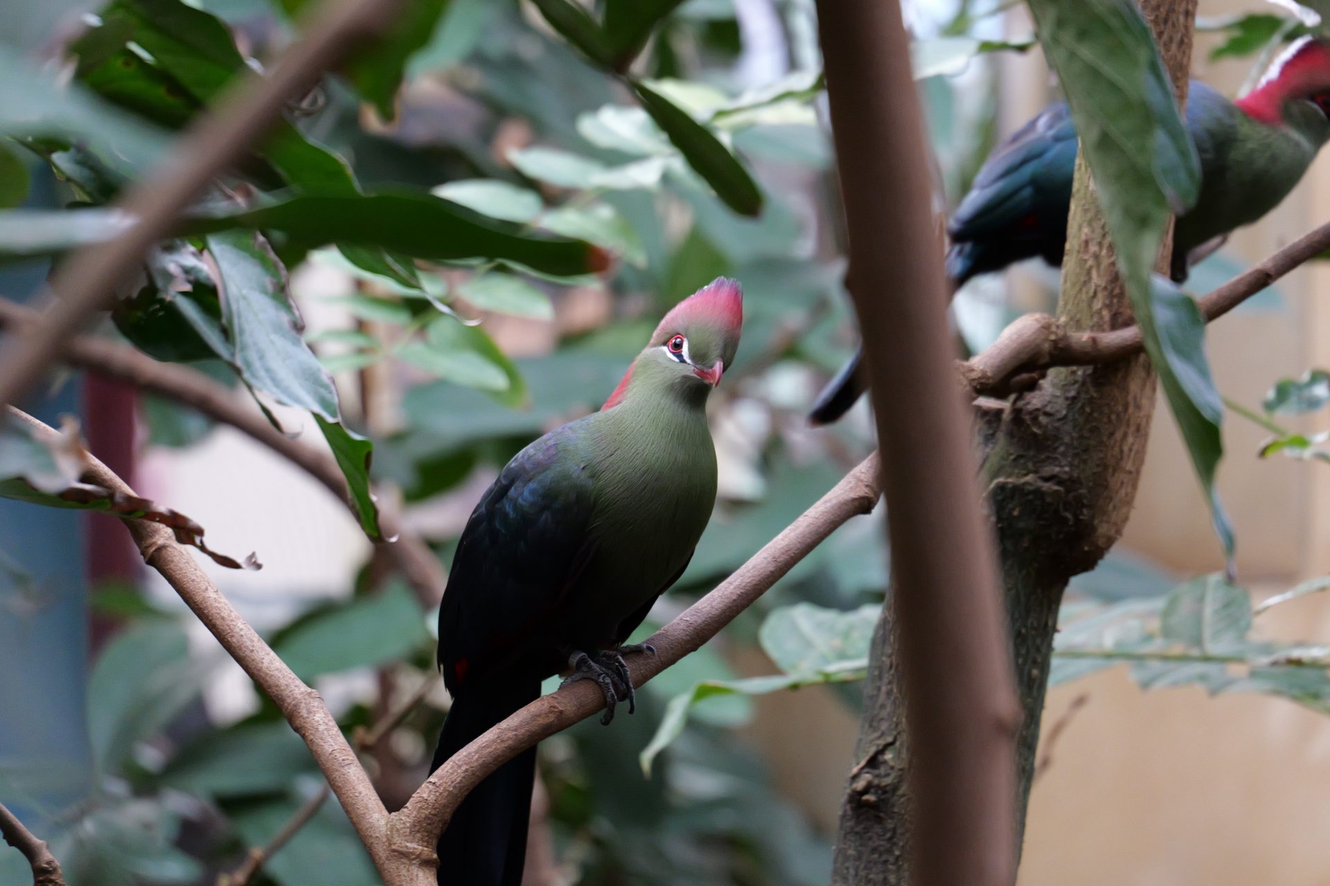 Panasonic Lumix S 28-200mm F4-7.1