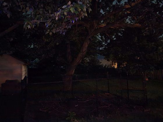 Motorola Razr Plus (2025)