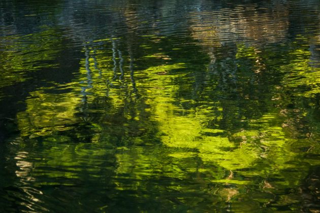 Sony Cyber-shot RX10 IV