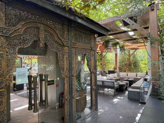 iPhone 17 Pro Max против Galaxy S25 Ultra