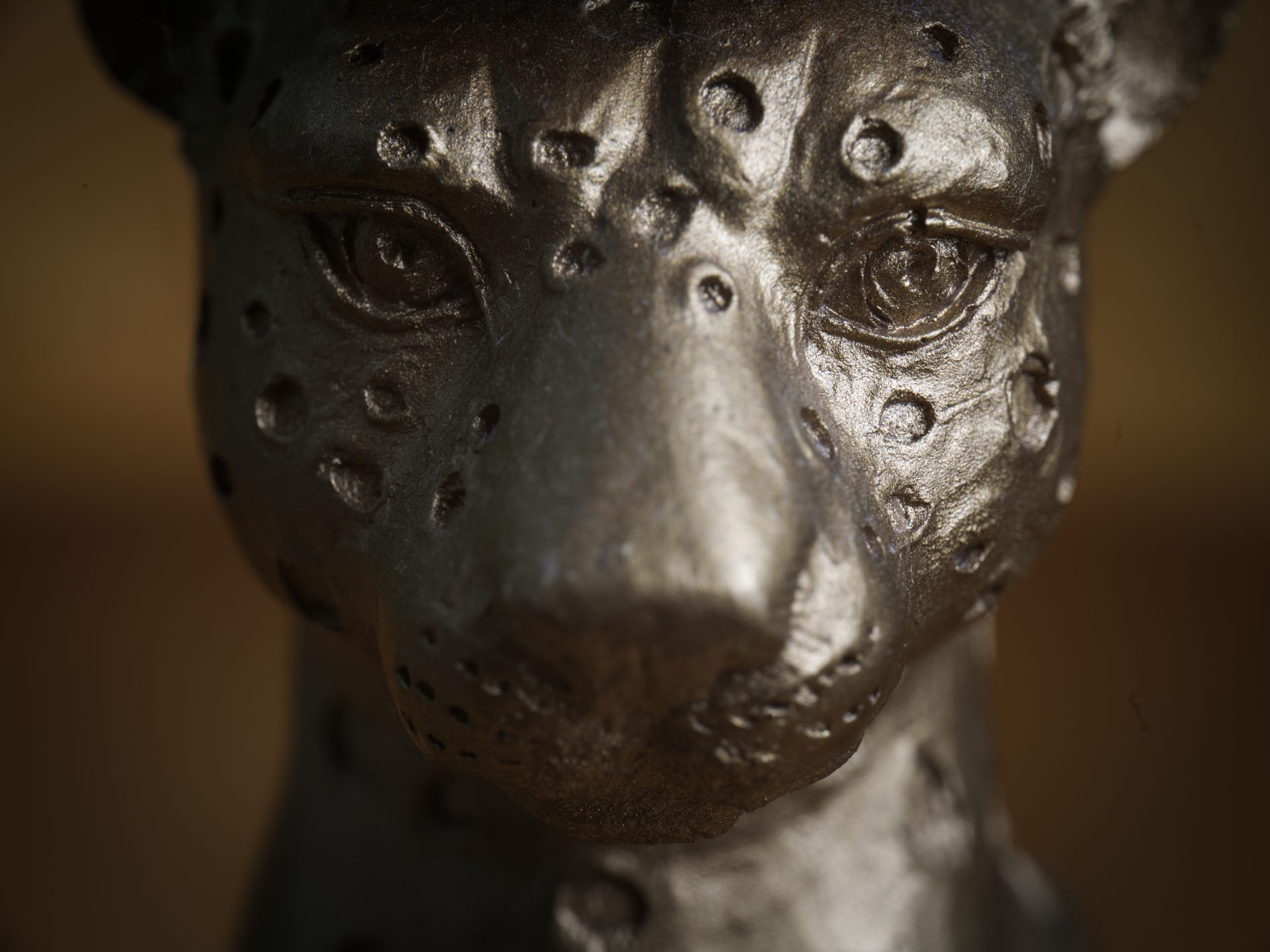 Zhongyi Mitakon 55mm f/2.8 1-5x Macro