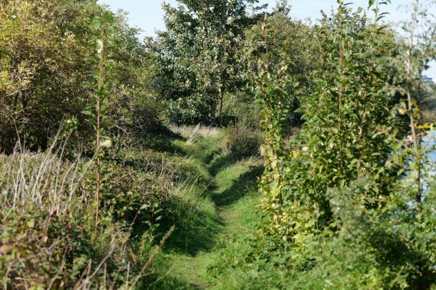 Panasonic Lumix S 100-500mm