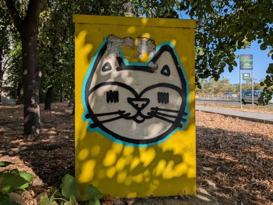 Сравнение Pixel 10 Pro XL и iPhone 16 Pro Max — что лучше? фото