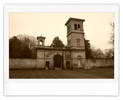 Fujifilm Instax Wide Evo