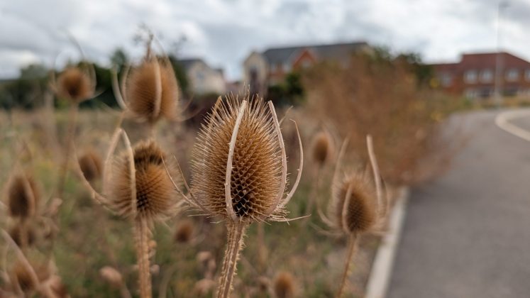 Google Pixel 10 Pro XL