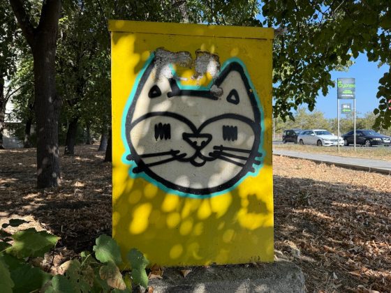 Google Pixel 10 Pro XL vs iPhone 16 Pro Max