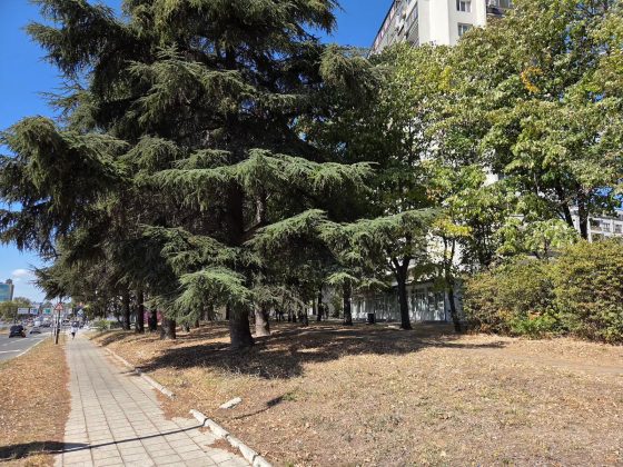 iPhone 17 против Galaxy S25: битва флагманов