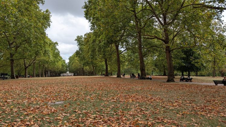 Google Pixel 10 Pro XL