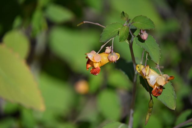 Забудьте про pro-камеры! Мой эксперимент с бюджетной техникой в путешествии. фото