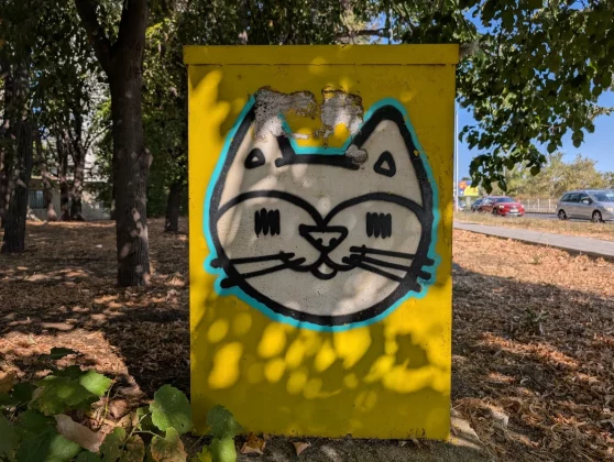 Google Pixel 10 и Pixel 9