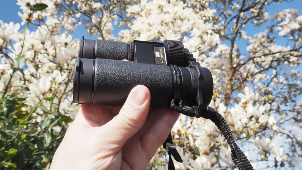 Nikon Monarch HG 10x30-3