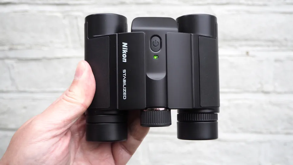 Nikon Stabilized 12x25 S-3