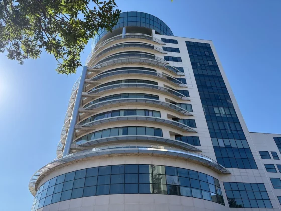 Pixel 10 против iPhone 16