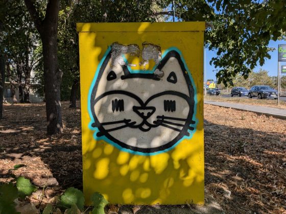 Pixel 10 и Galaxy S25