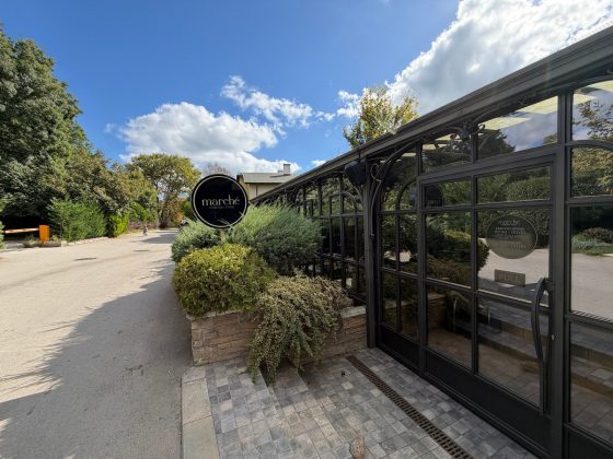 iPhone 17 Pro Max против Galaxy S25 Ultra