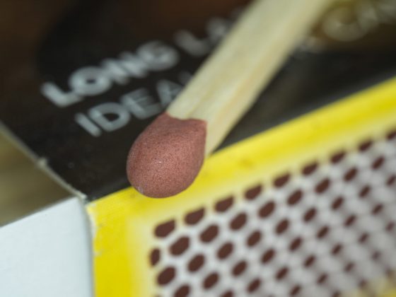 Zhongyi Mitakon 55mm f/2.8 1-5x Macro