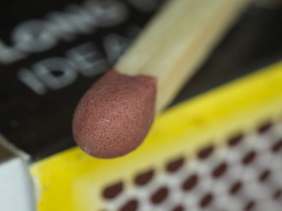 Zhongyi Mitakon 55mm f/2.8 1-5x Macro