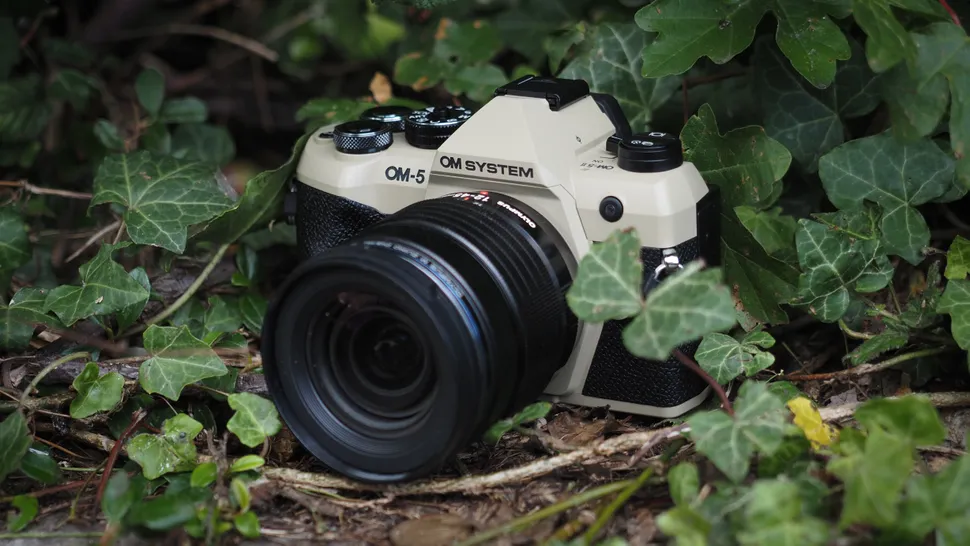 OM System OM-5 Mark II-2