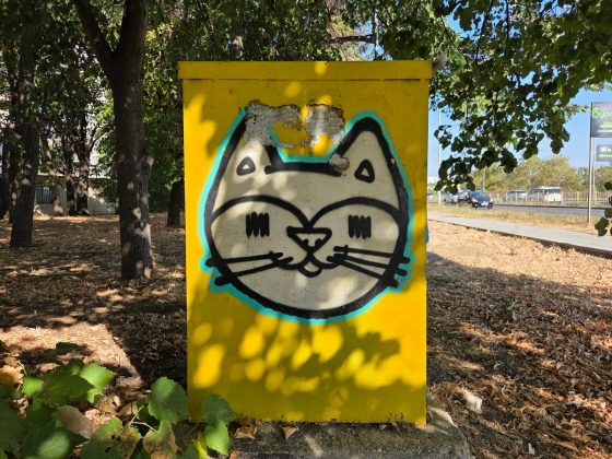 Pixel 10 и Galaxy S25