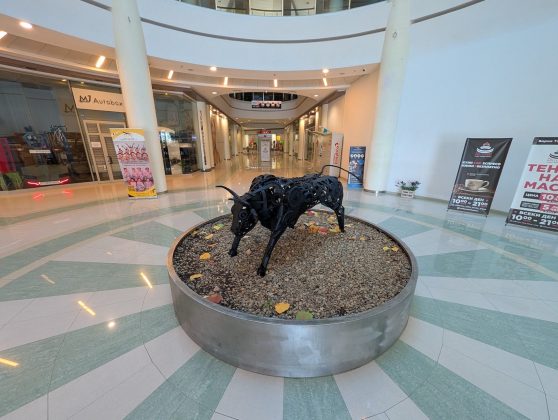 Google Pixel 10 Pro XL vs iPhone 16 Pro Max