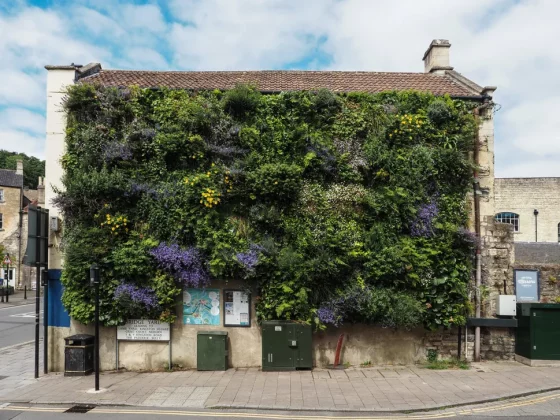 OM System OM-5 Mark II-3