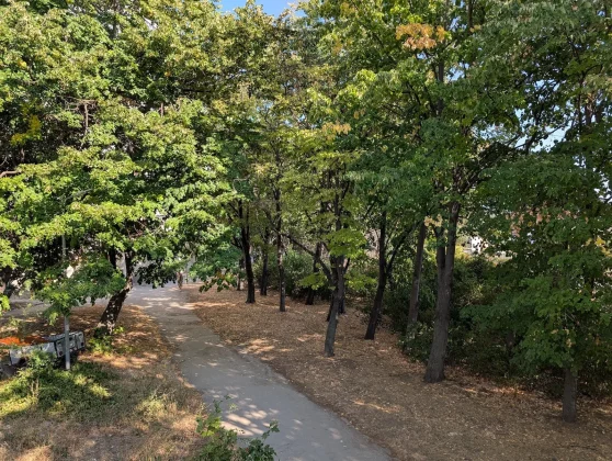 Google Pixel 10 и Pixel 9