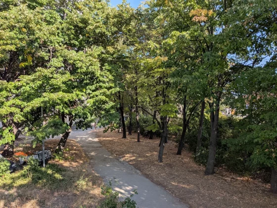 Google Pixel 10 против Pixel 8