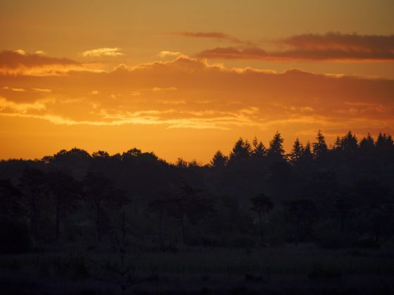 OM System's portable 50-200mm_