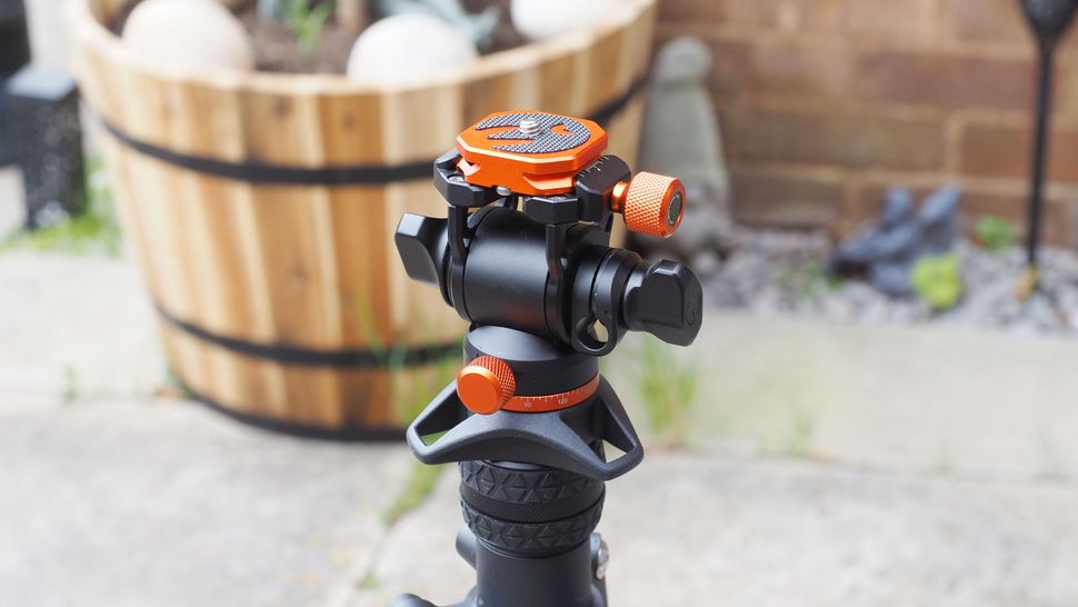 3 Legged Thing AirHed Trinity-5