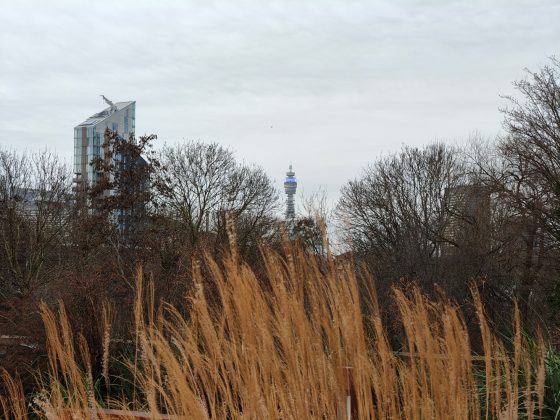 Nothing Phone 3a Pro