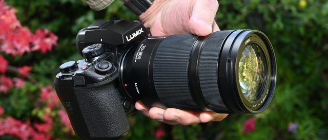 Обзор Panasonic Lumix S 70-300mm — телеобъектив с макро