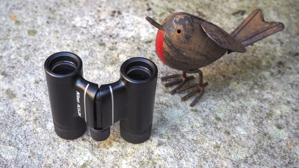 Nikon Aculon T02 10x21-6