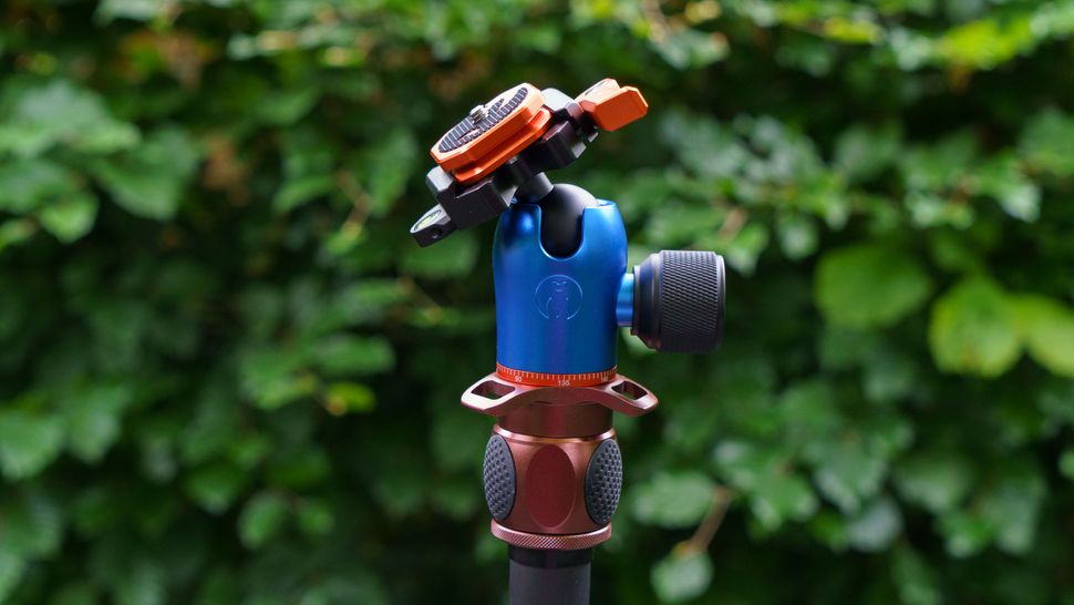 3 Legged Thing Leo 2.0-6