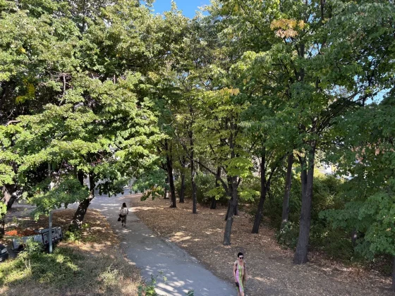 Pixel 10 против iPhone 16