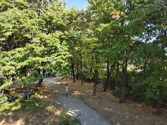 Pixel 10 против Galaxy S25